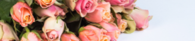 Mother’s Day at Palmdale Lawn Cemetery & Memorial Park